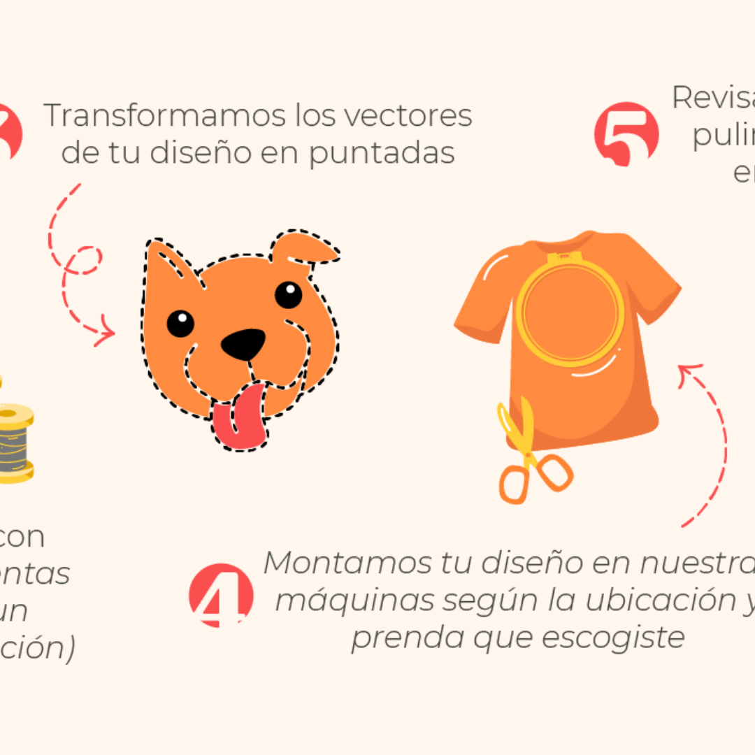 Paso 2