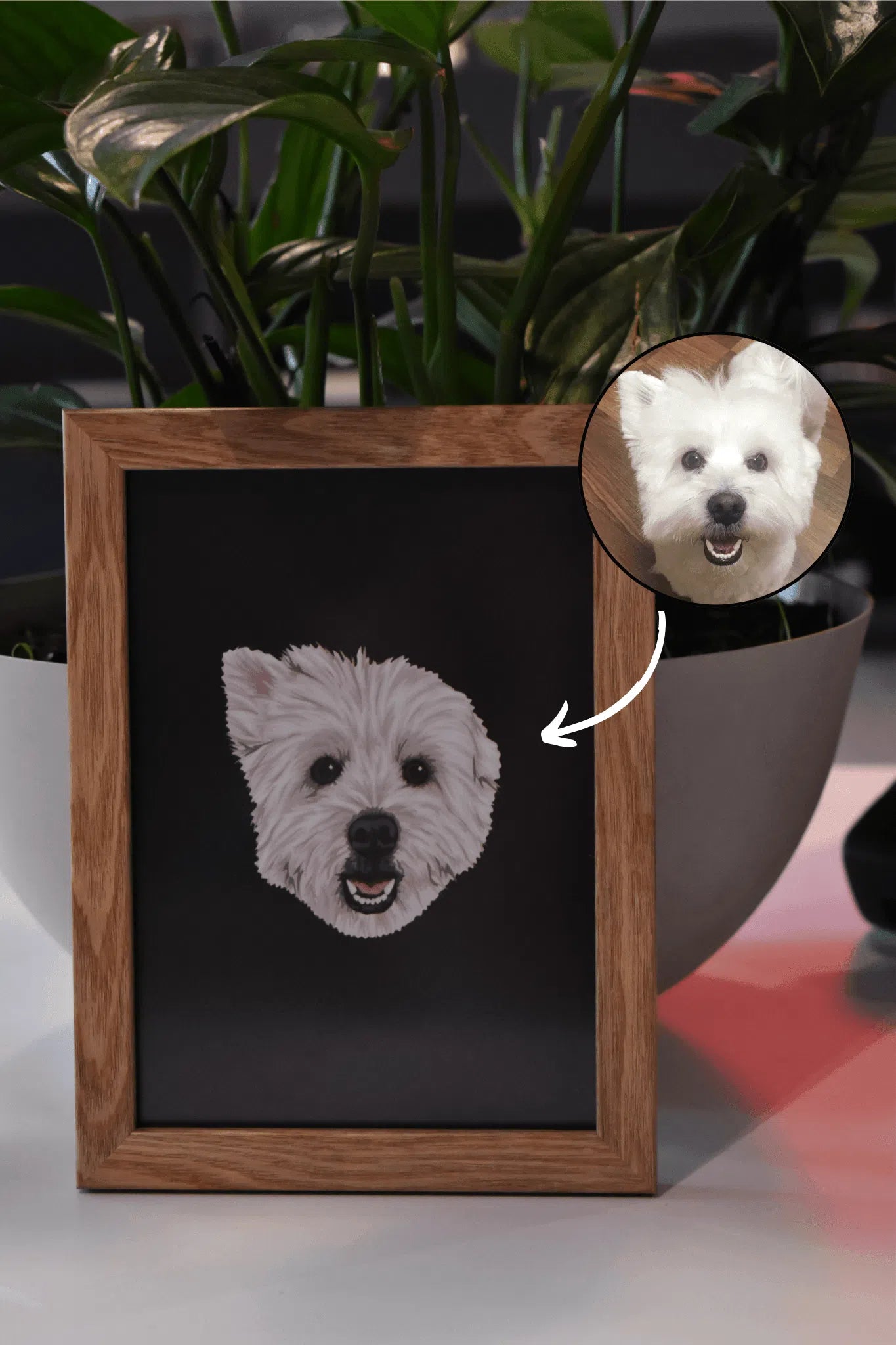 Marco con ilustración de mascota