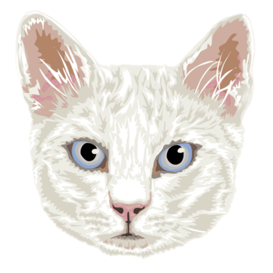 Blanco Borda2.co