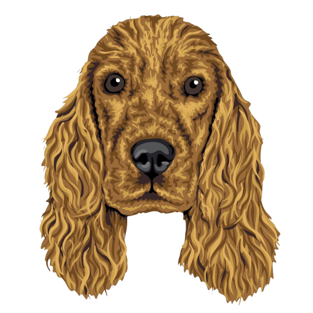 Cocker Spaniel Café Borda2.co