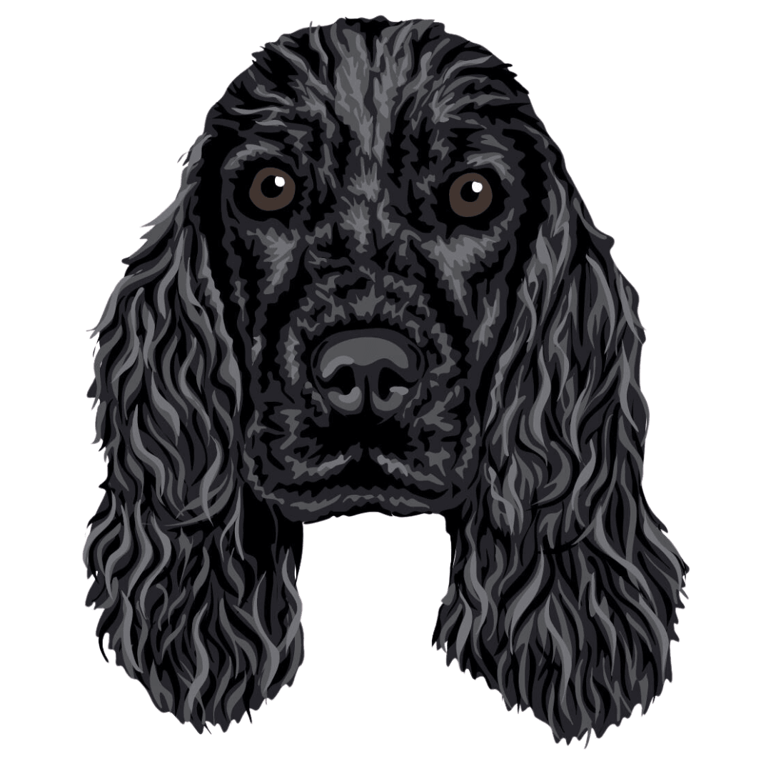 Cocker Spaniel Negro Borda2.co