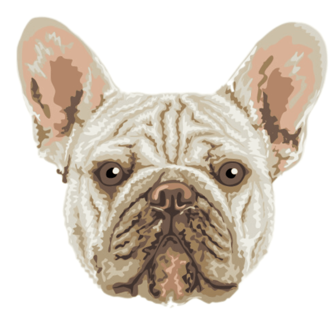 Frenchie Beige - Borda2.co