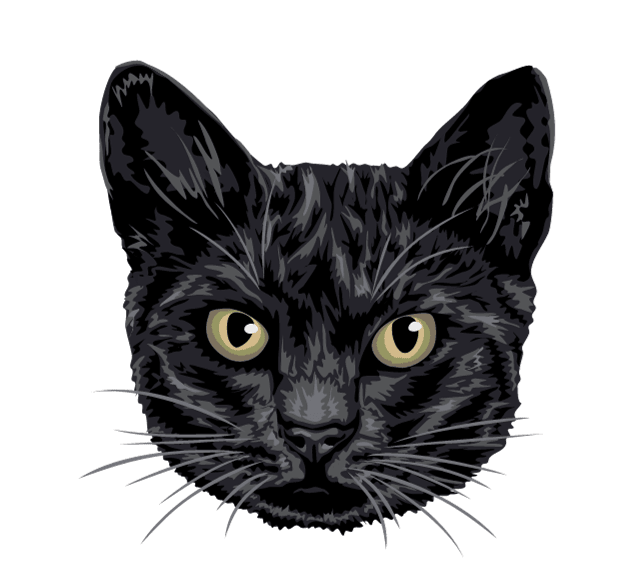 Gato Negro Borda2.co
