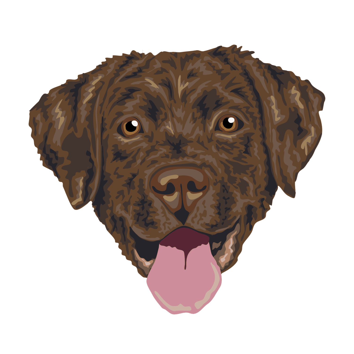 Labrador Chocolate Borda2.co