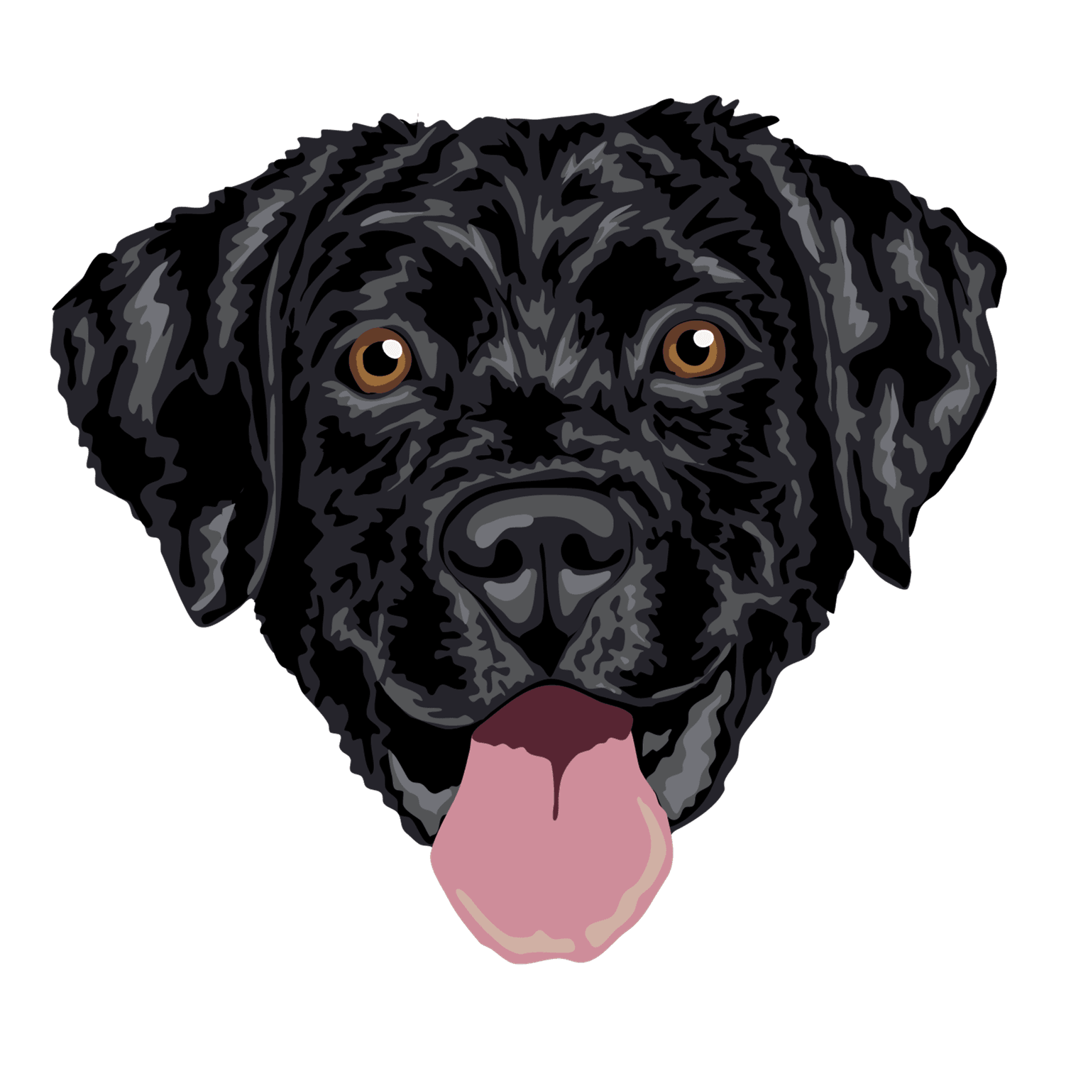Labrador Negro Borda2.co