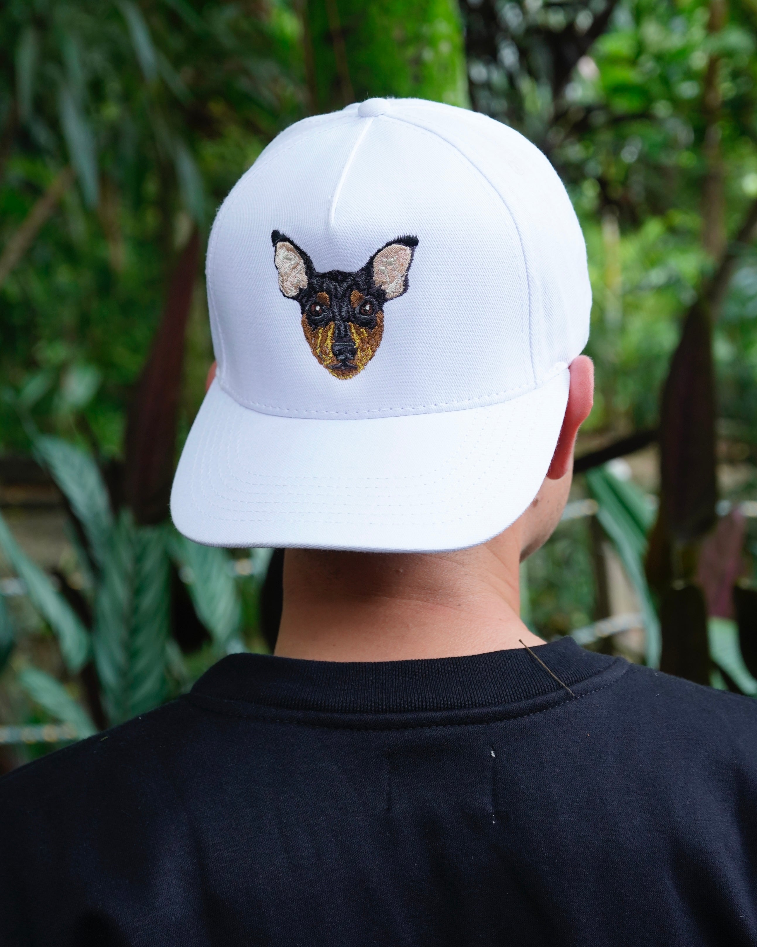 Gorra - Pinscher