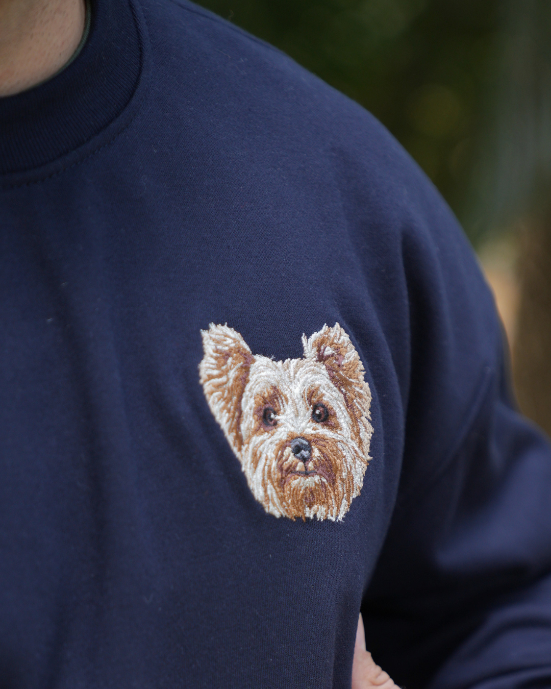 Buso Yorkie